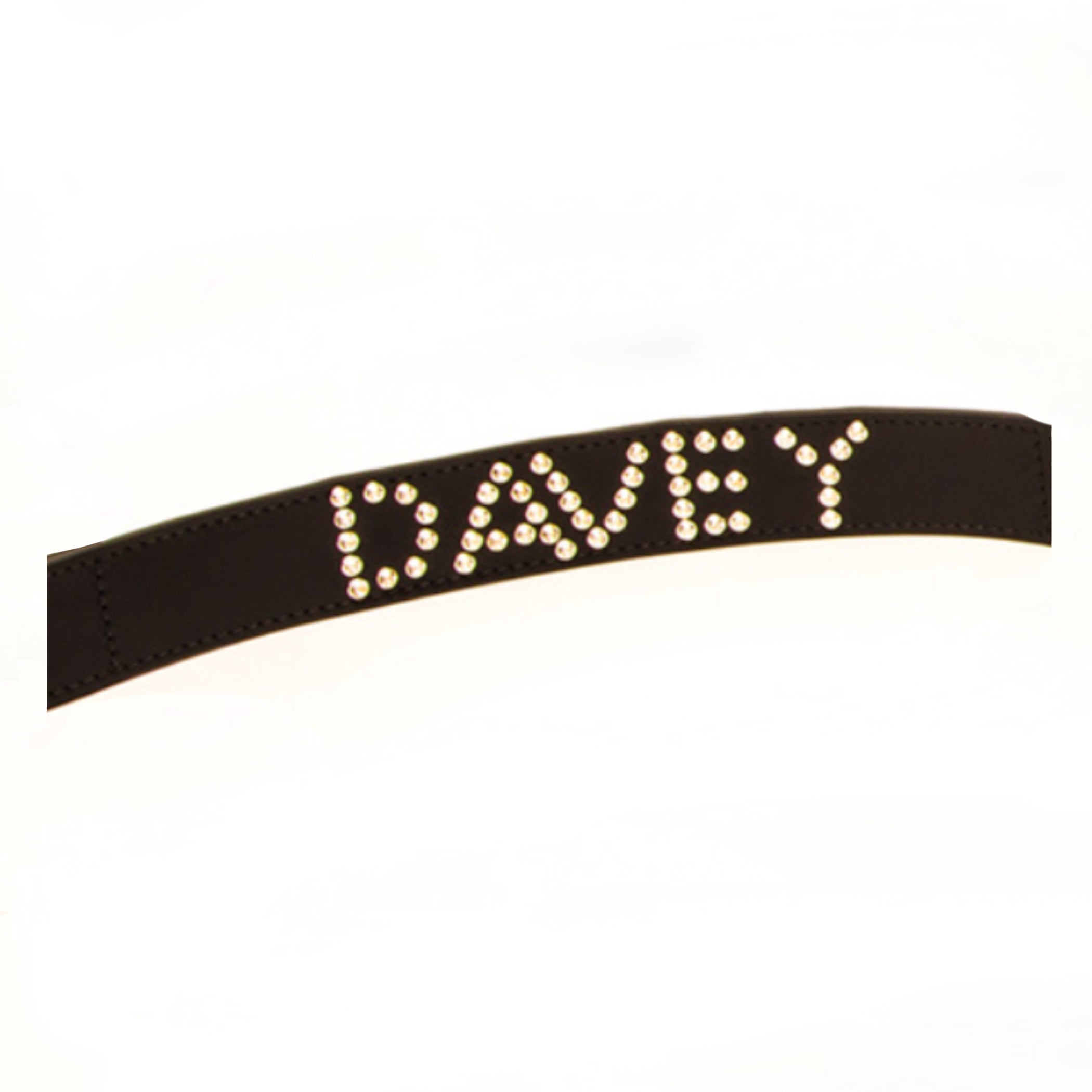 Bespoke Swarovski crystal Collar and Lead – Leather Collar