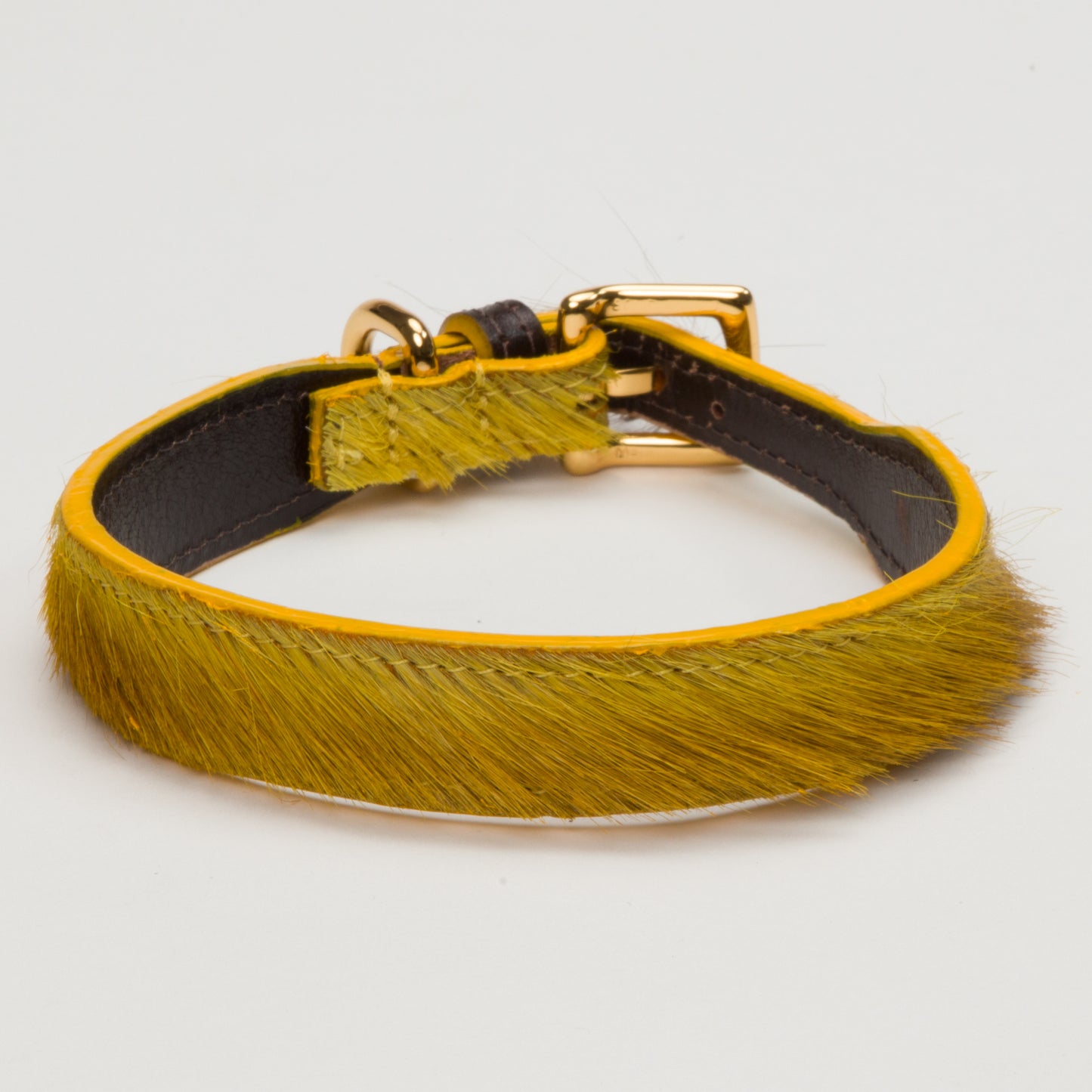 Luxury Mustard Yellow SpringBok Collar for Medium Dogs