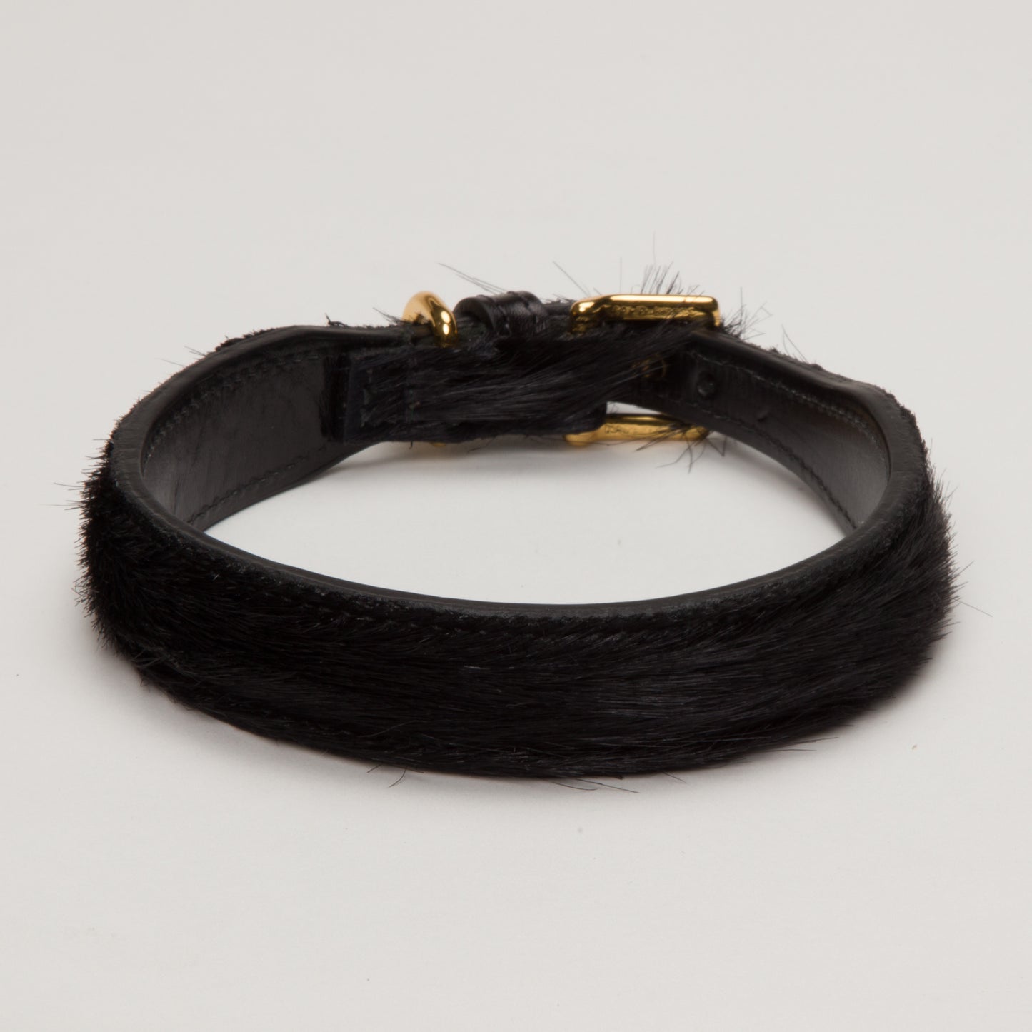 Luxury Black SpringBok Collar for Medium Dogs