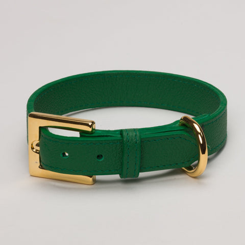 Load image into Gallery viewer, Racing Green Luxury Puppy Collar for Medium to XLarge Puppies
