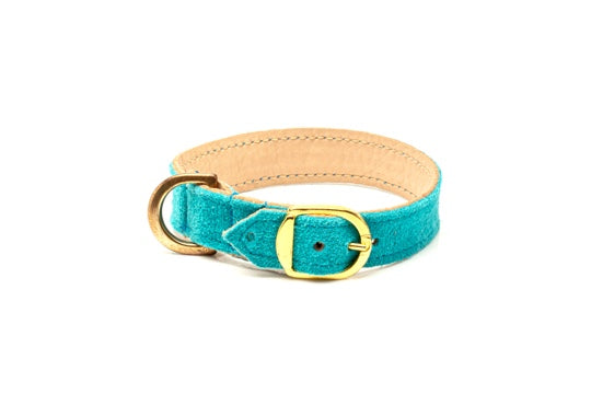 Suede Collar Turquoise Blue Kitten & Cats