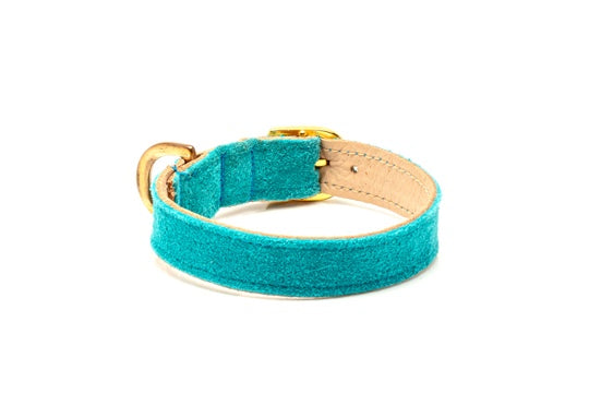 Suede Collar Turquoise Blue Kitten & Cats