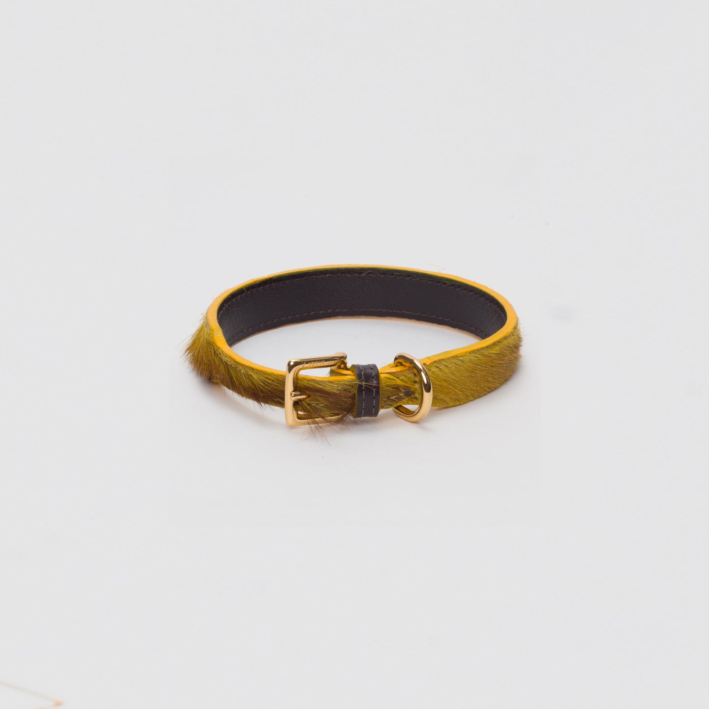 Luxury Mustard Yellow SpringBok for Toy & Small Dogs