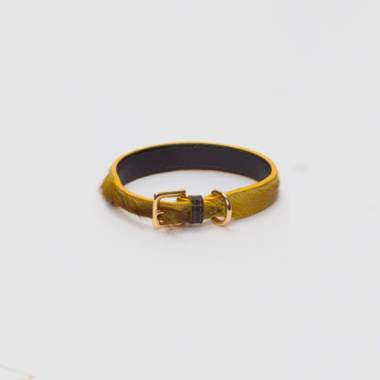 Luxury Mustard Yellow SpringBok for Toy & Small Dogs