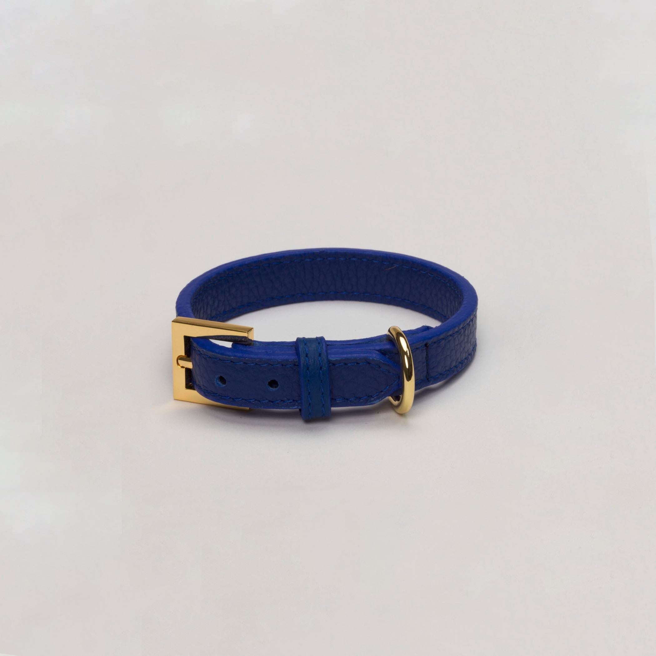 Luxury Leather Dog Collar Royal Blue, XXXSmall Tea cup to Medium Puppies