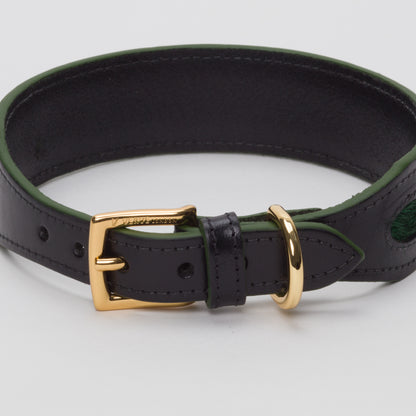 Luxury Racing Green SpringBok Cases In Leather for Large Dogs