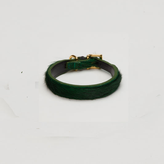Luxury Racing Green SpringBok for Toy & Small Dogs