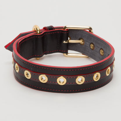 Luxury Leather Dog  Collar Red on Grey with Eyelets XXLarge Puppy