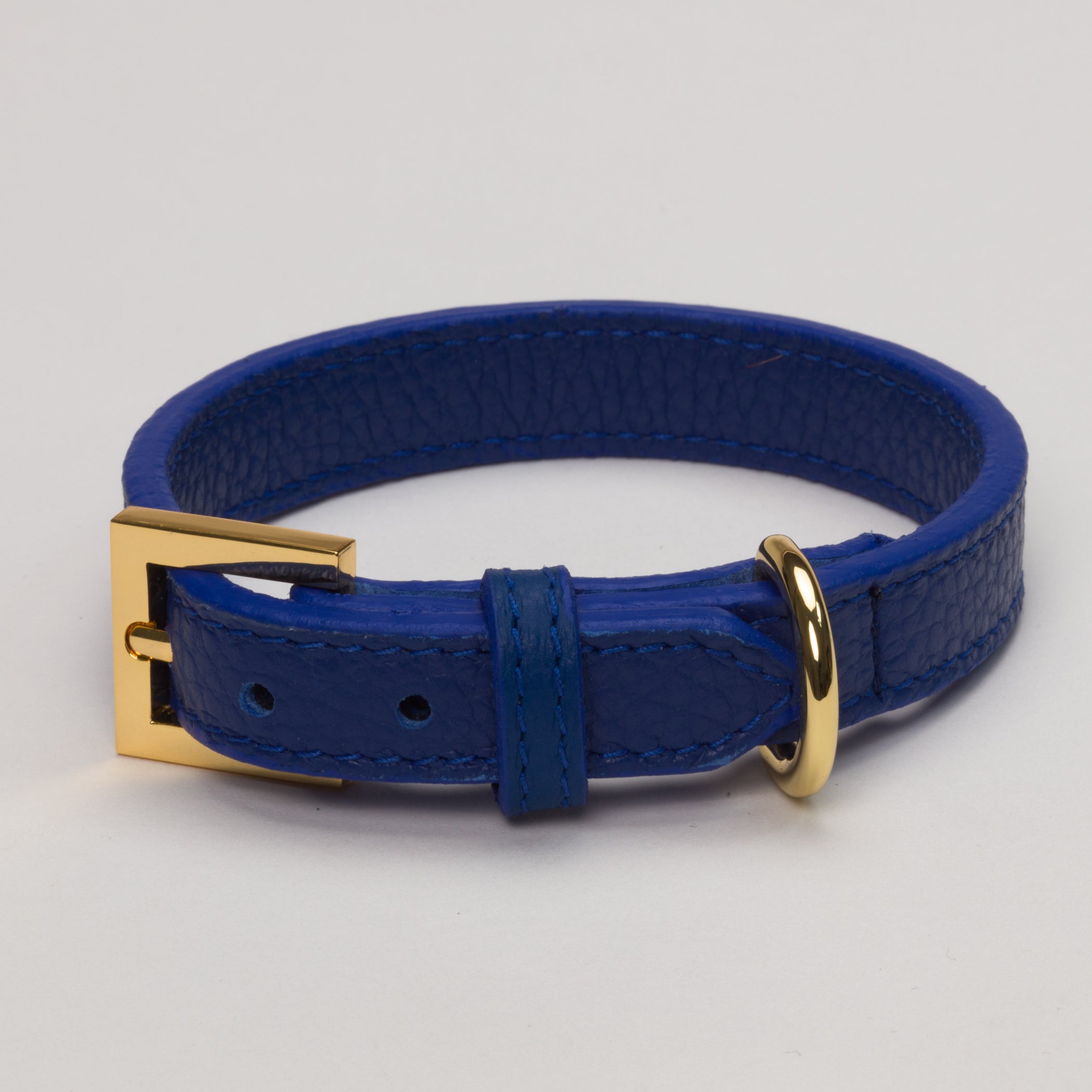 Luxury Leather Dog  Collar Royal Blue for Medium Dogs