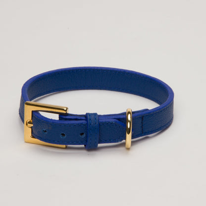 Leather Collar Royal Blue, Kitten & Cats