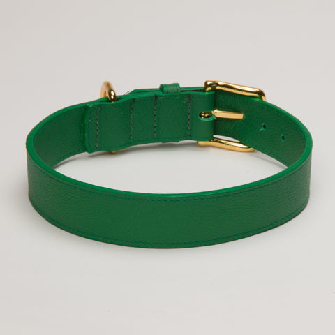 Load image into Gallery viewer, Racing Green Luxury Dog Collar Large and XLarge Breeds
