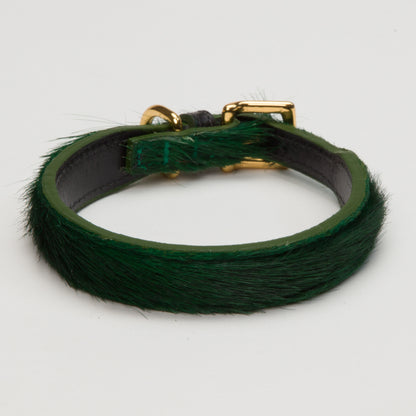 Luxury Racing Green SpringBok Collar for Medium Dogs
