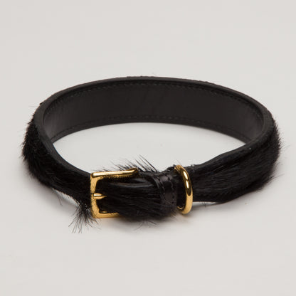 Luxury Black SpringBok Collar for Medium Dogs