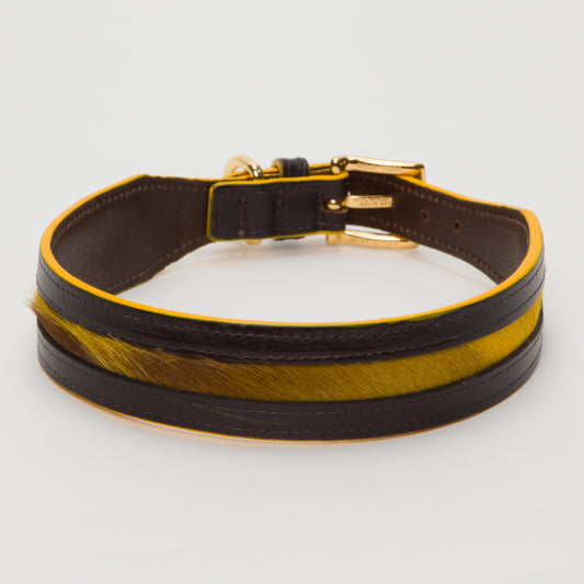 Luxury Mustard Yellow SpringBok Cases In Leather for Medium Dogs