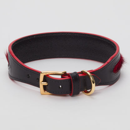 Luxury Blood Red SpringBok Cases In Leather for Medium Dogs