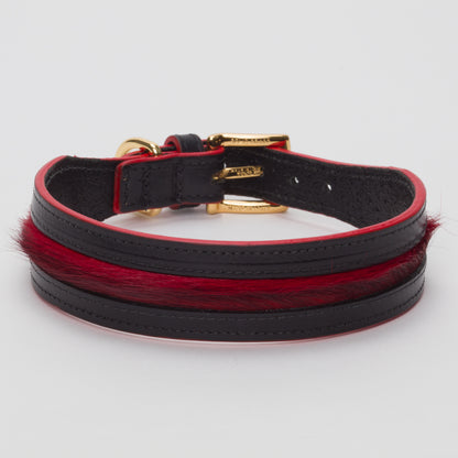 Luxury Blood Red SpringBok Cases In Leather for Medium Dogs