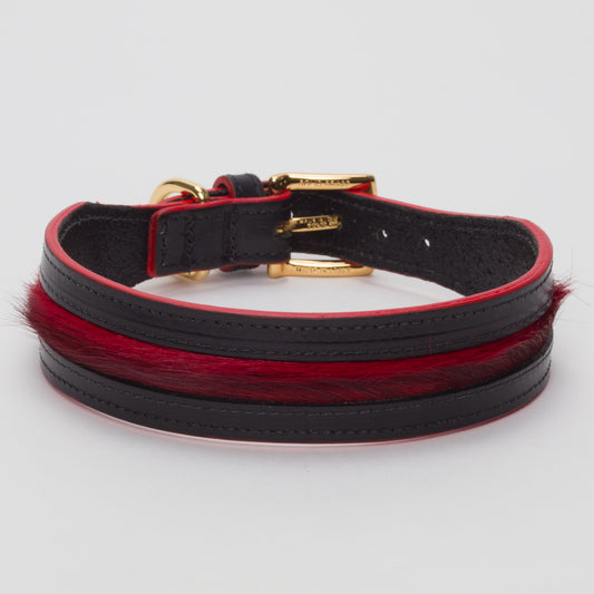 Luxury Blood Red SpringBok Cases In Leather for Medium Dogs