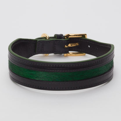 Luxury Racing Green SpringBok Cases In Leather for Large Dogs