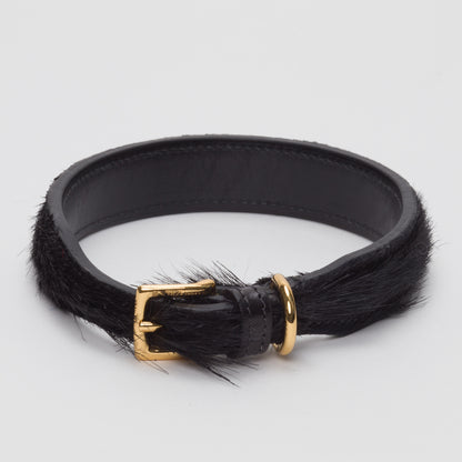 Luxury Black SpringBok Collar for Medium Dogs