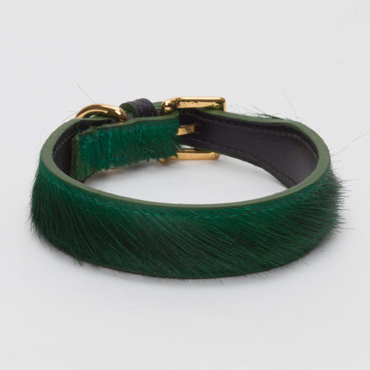 Luxury Racing Green SpringBok Collar for Medium Dogs