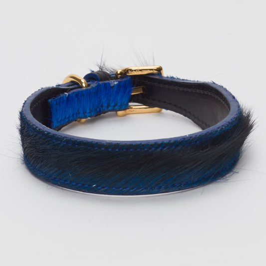 Luxury Dark Blue SpringBok Collar for Medium Dogs