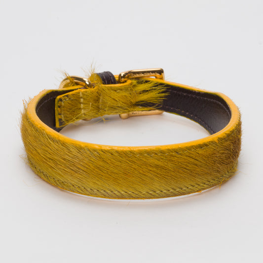Luxury Mustard Yellow SpringBok Collar for Medium Dogs