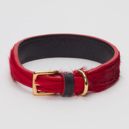 Luxury Blood Red SpringBok Collar for Medium Dogs