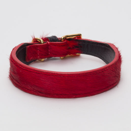 Luxury Blood Red SpringBok Collar for Medium Dogs