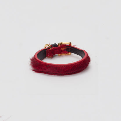 Luxury Blood Red SpringBok for Toy & Small Dogs