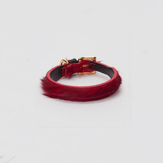 Luxury Blood Red SpringBok for Toy & Small Dogs