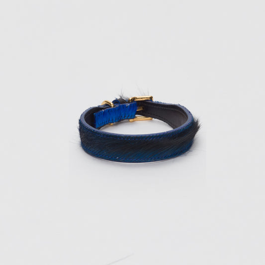Luxury Dark Blue SpringBok for Toy & Small Dogs