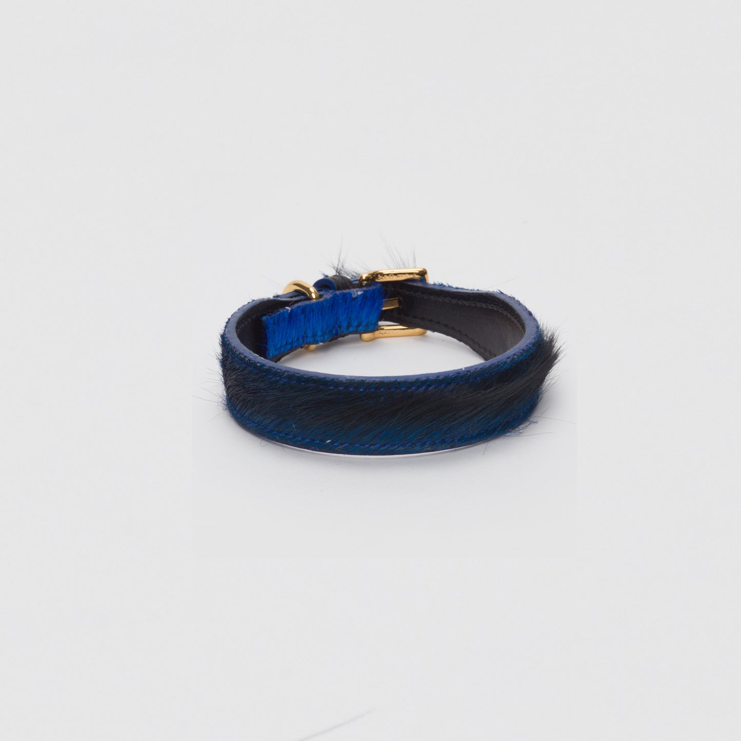 Luxury Dark Blue SpringBok Collar for Medium Dogs