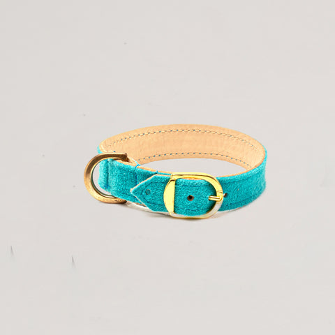 Load image into Gallery viewer, Suede Collar Turquoise Blue  , XXX Small Puppies to Small Puppies
