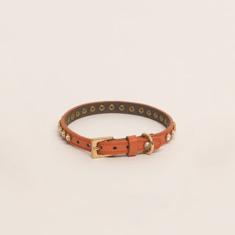 Load image into Gallery viewer, Luxury 1 Row Swarovski Crystal Orange Collar Toy & Small Breads
