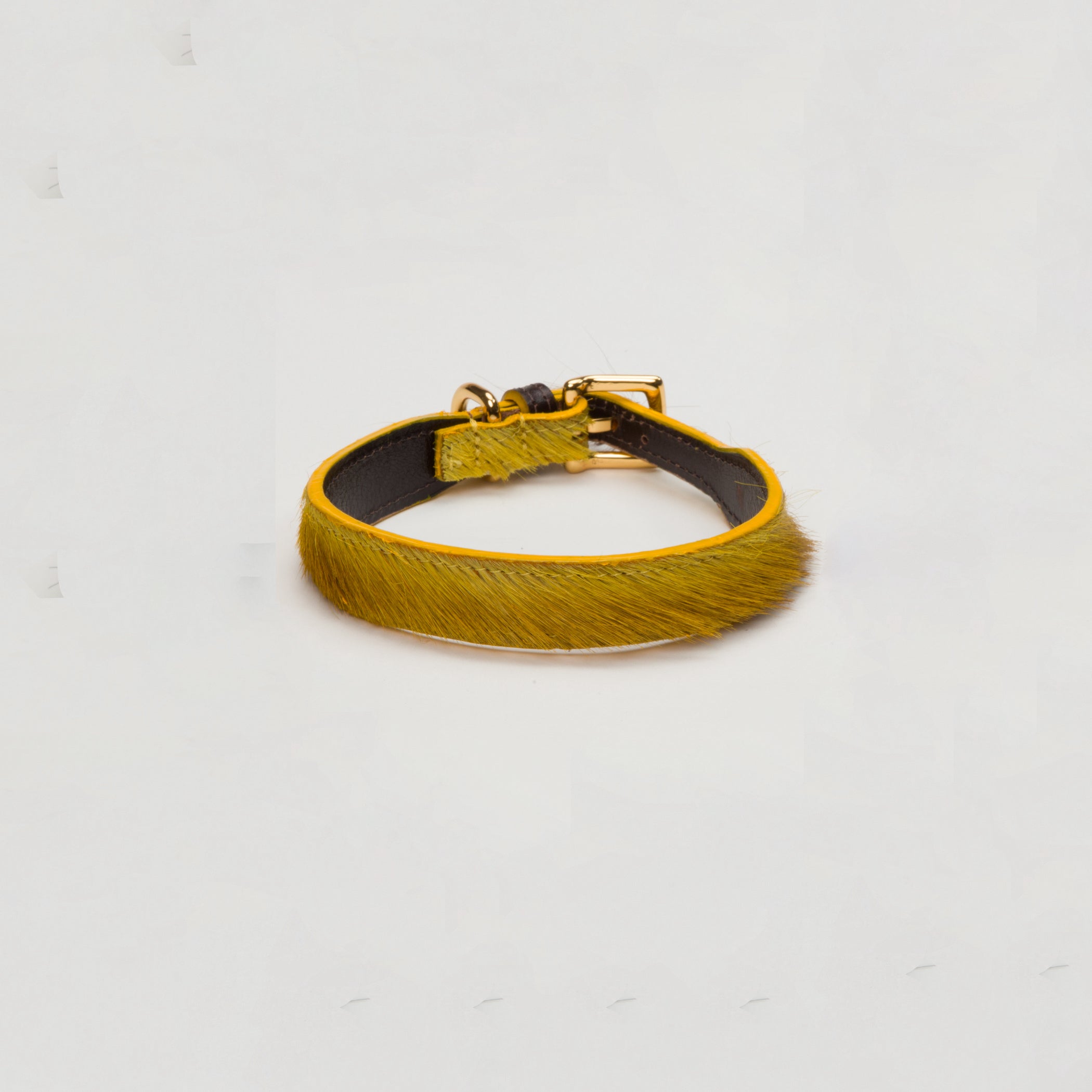 Luxury Mustard Yellow SpringBok for Toy & Small Dogs – SpringBok Leather Collar